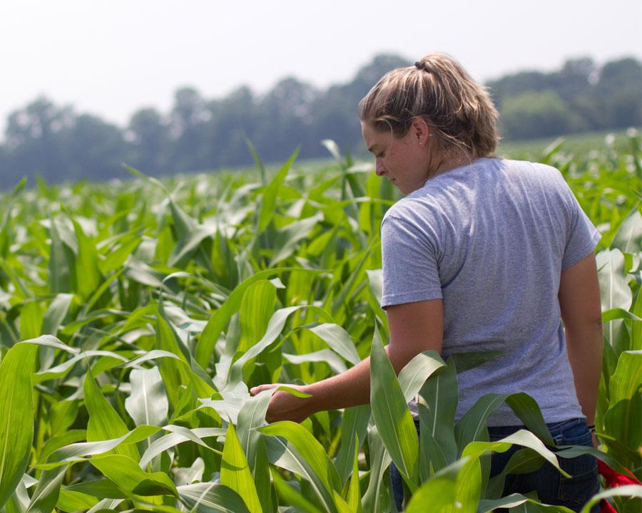 Agriculture and Related Sciences