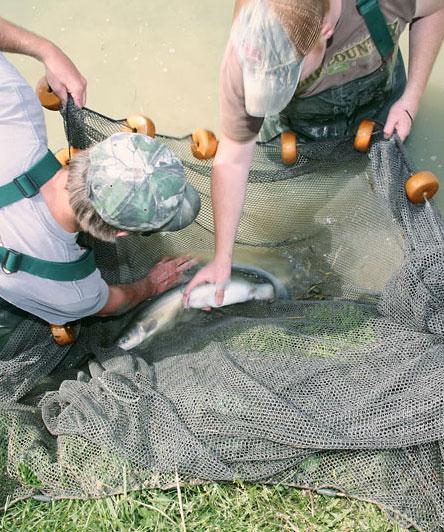 Fisheries